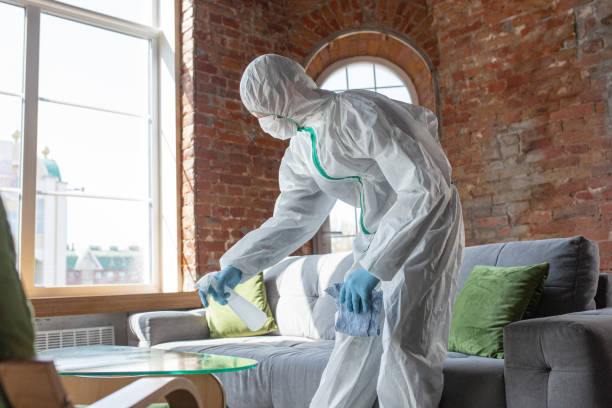 Best Mold Remediation for Healthcare Facilities  in Columbia, PA